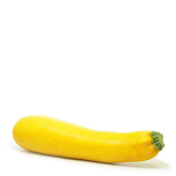 كوسة | Zucchini, gold bar squash, extra-large, single piece