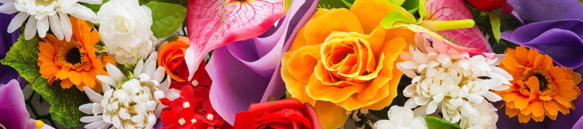B2B - Roses