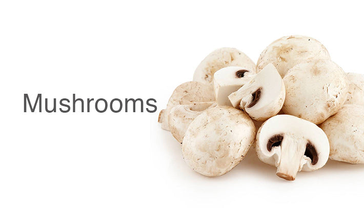 Sharbatly Club Mushrooms Collection 