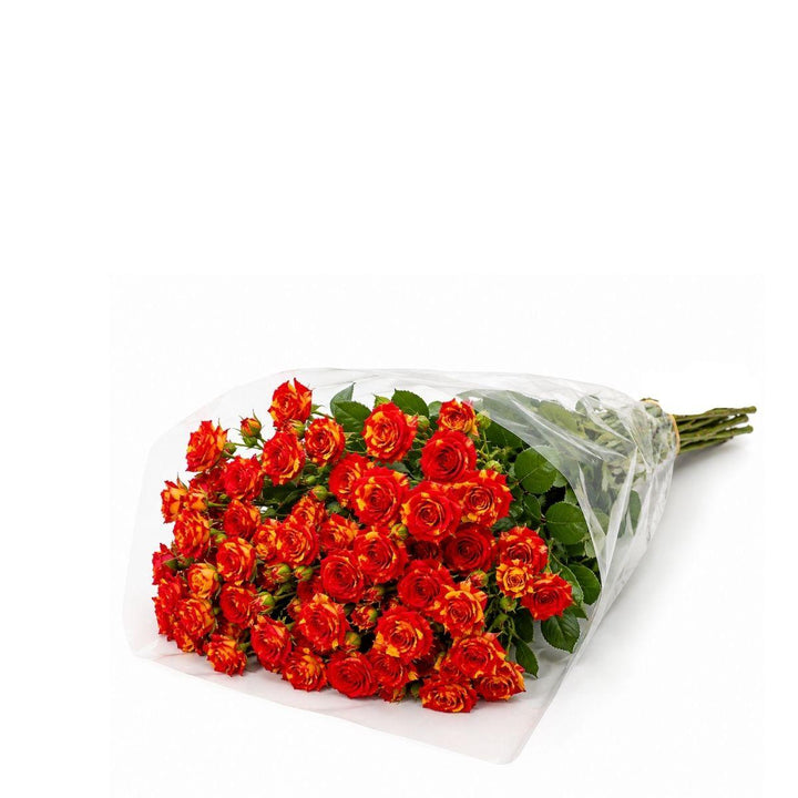 Roses Baby, Fire Flash fresh-cut flowers in a protective sleeve, from Sharbatly.
