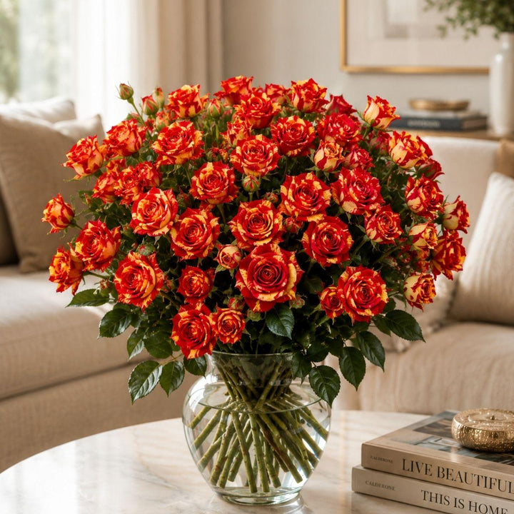 Roses Baby, Fire Flash fresh-cut flowers arranged in a clear vase at home, from Sharbatly.