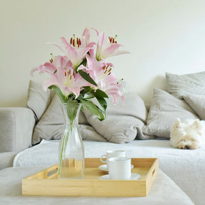Lilies Oriental Pink, Hybrid Praiano, Dutch XXL, 10 stems