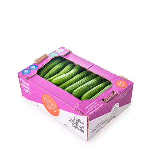 Cucumbers, 3 kg Carton