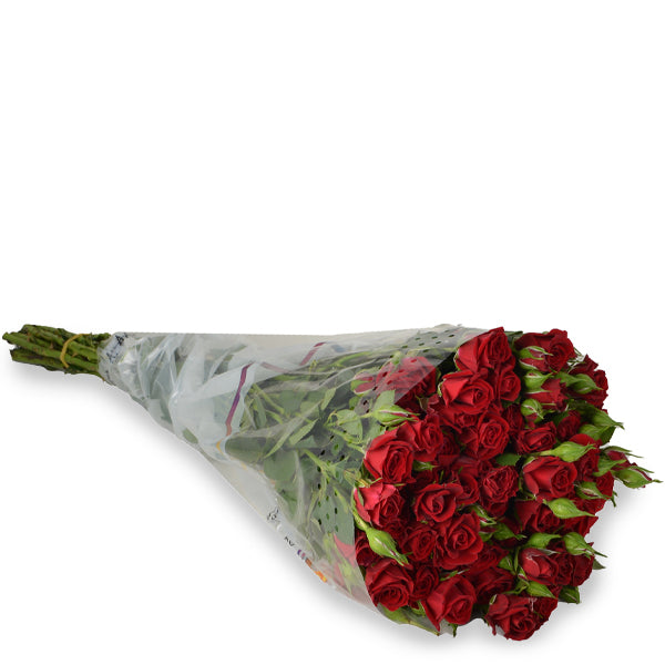 Roses Baby Red, 10 Stems