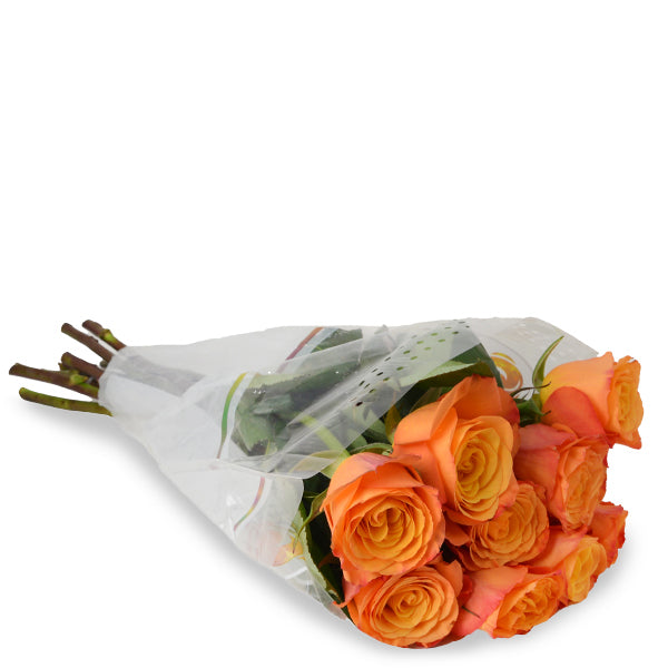 Roses, Orange, Confidential, 10 Stems