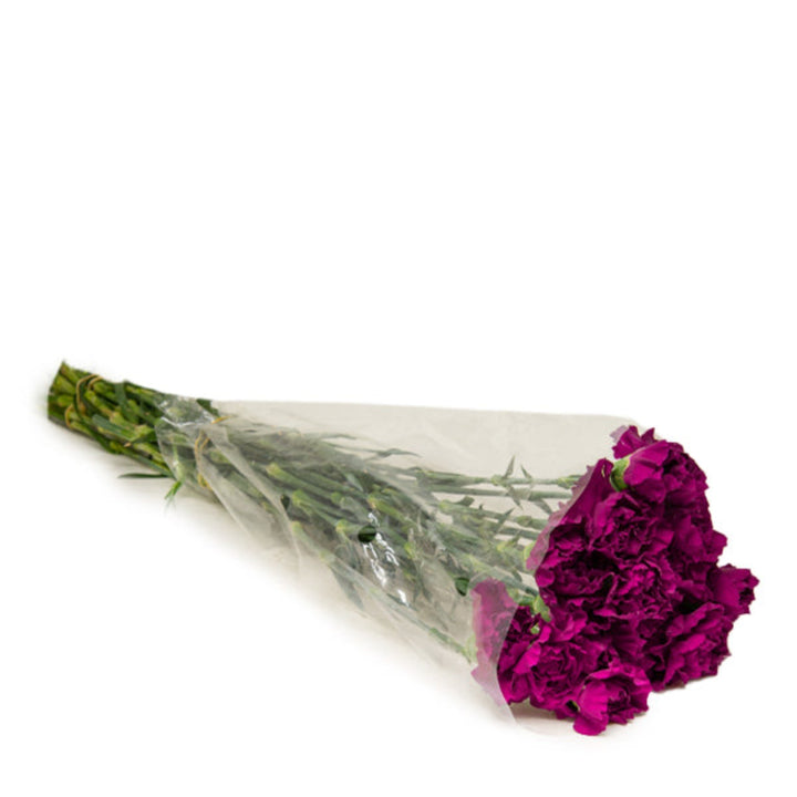 Violet Yukari carnations arranged in a bouquet, 19 stems from SQ Flora Kenya, showcasing vibrant purple flowers.