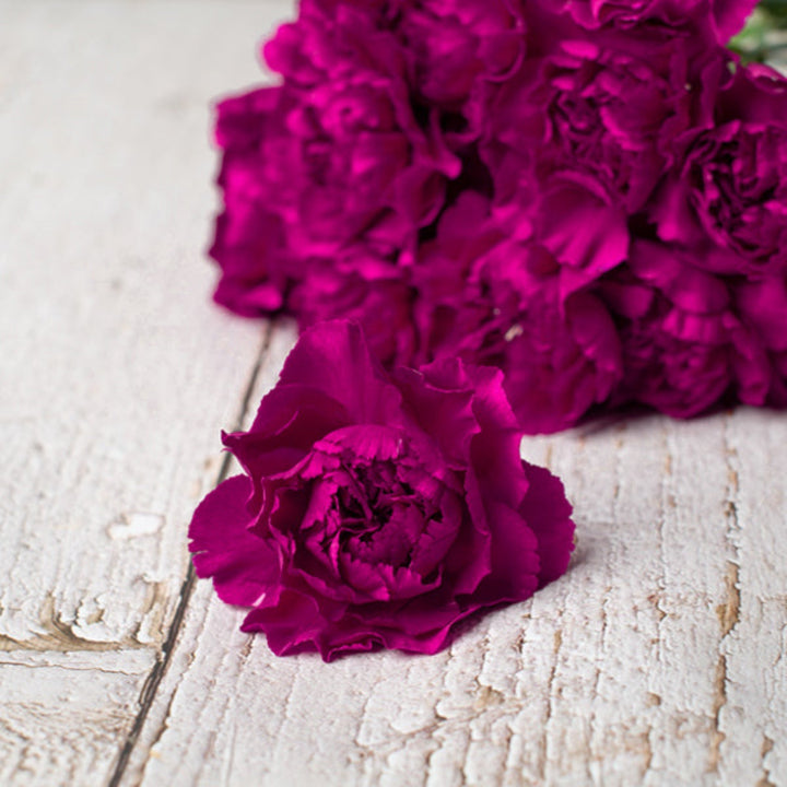 Bouquet of 19 Yukari Violet carnations from SQ Flora Kenya, fresh flower stems arranged in a natural display.