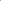 Green Hypericum Coco Bamboo flower stems from Black Tulip, showcasing vibrant stems and lush green foliage.