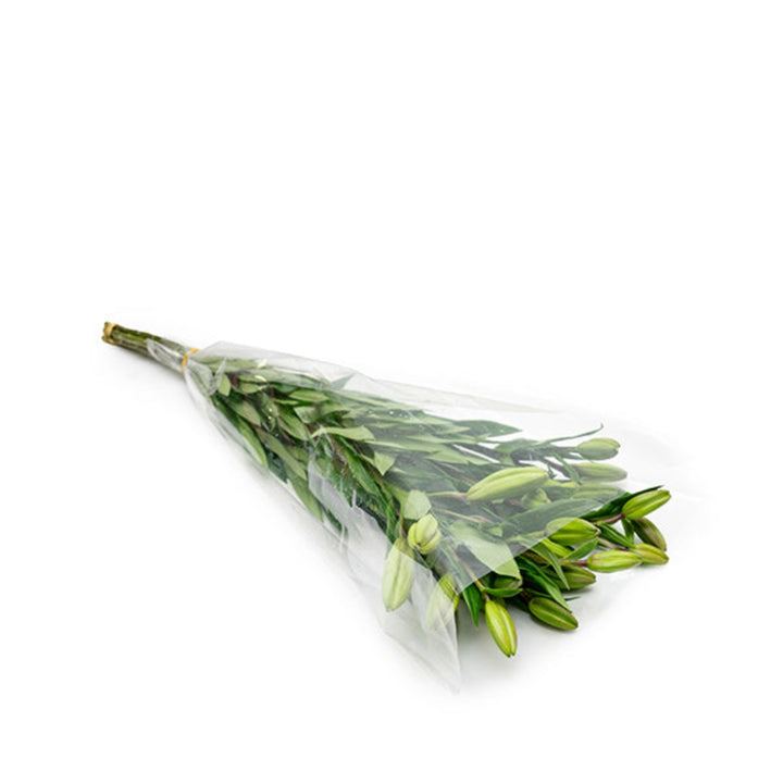 Five stems of Nashville Yellow Asiatic lilies from Fresh Flower Holland, vibrant yellow Dutch flower bouquet.