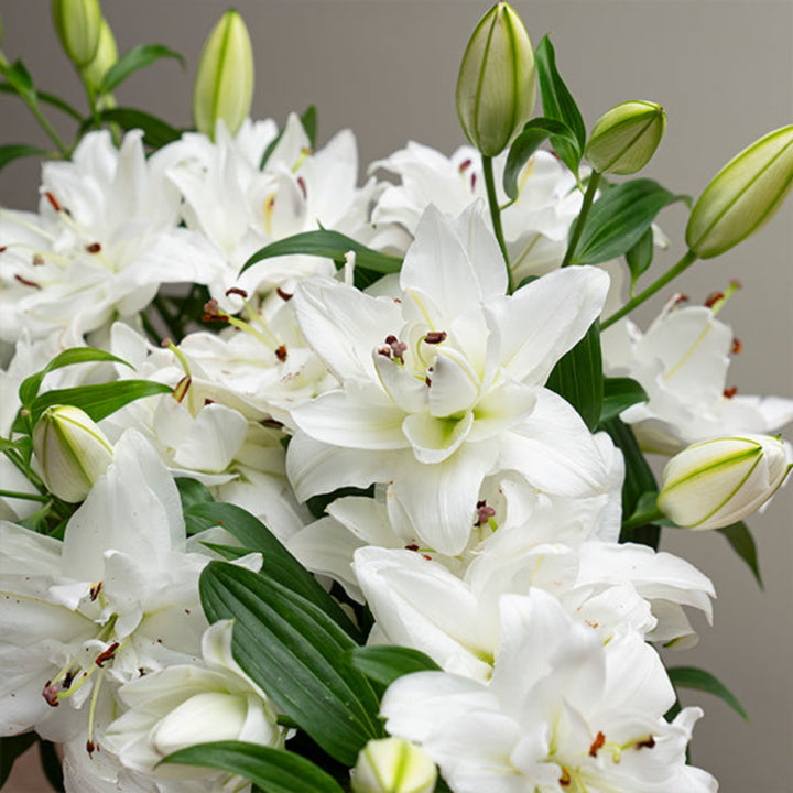 Bouquet of five scented Oriental Dejima lilies with double petals from SQ Flora Kenya, arranged in a natural floral display.