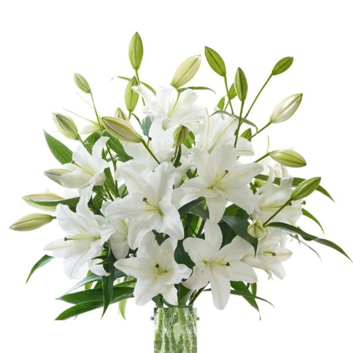 White Oriental lilies from Flowranow, scented XL bouquet with 10 stems, beautifully arranged flowers for elegant decor.