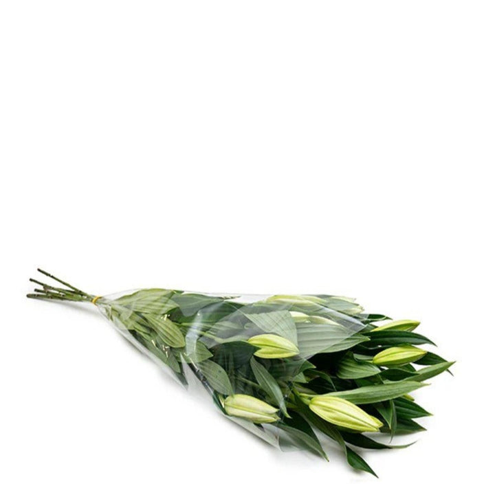 White Oriental lilies with five stems, scented Dutch flowers from Fresh Flower Holland, displayed in a natural arrangement.