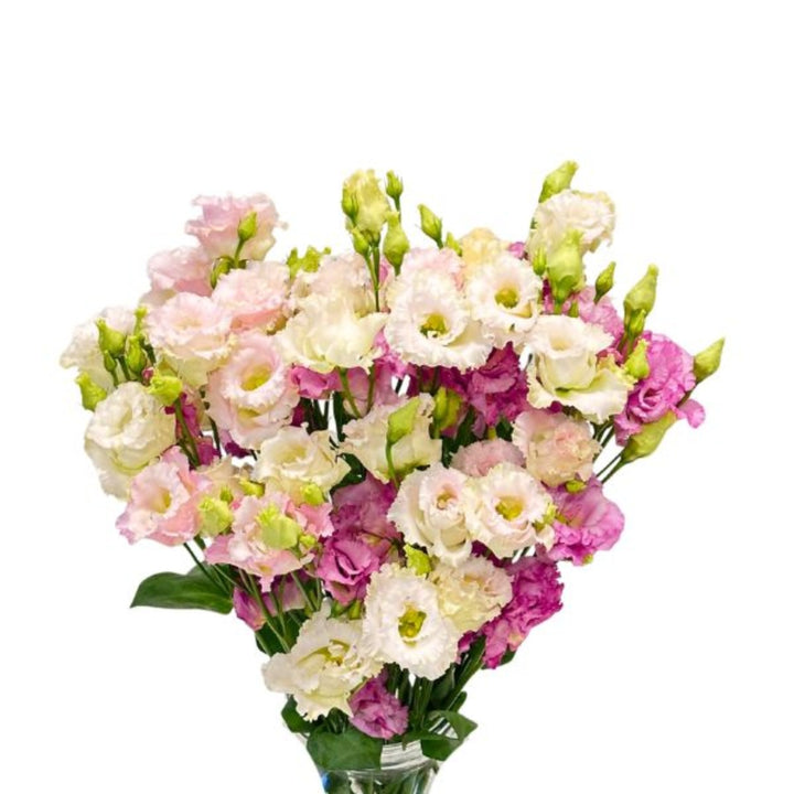 Pink Lisianthus Eustoma Alissa flowers with five stems, vibrant blooms and green foliage, arranged naturally for a fresh floral display.