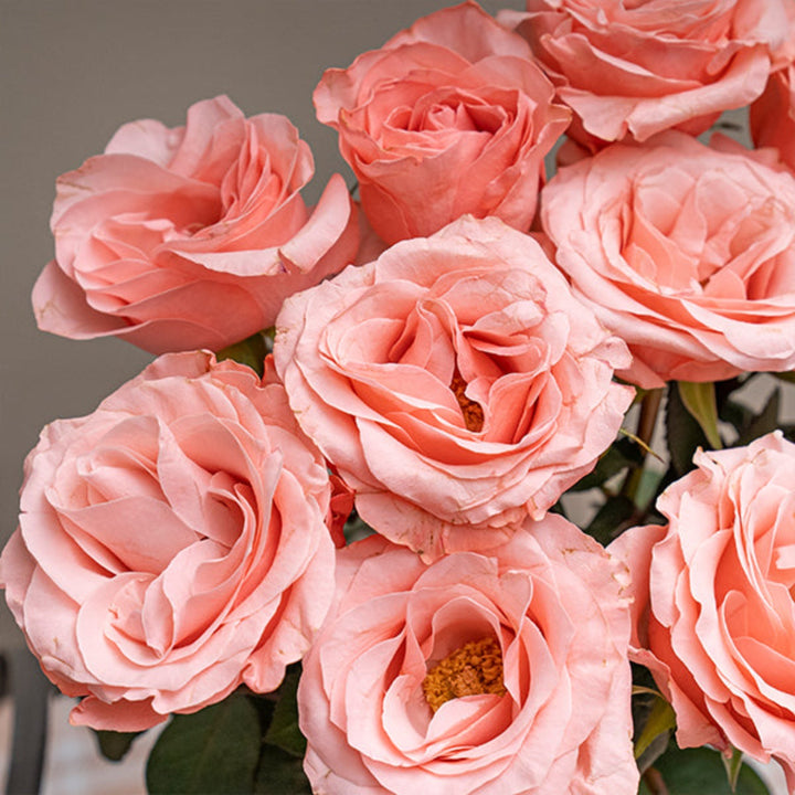 Pink Be Sweet roses from Black Tulip with 10 stems, showcasing fresh, vibrant pink flowers arranged in a natural bouquet.