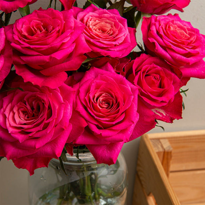 Bouquet of 10 Tatjana roses by SQ Flora Kenya with vibrant red blooms arranged in a floral display