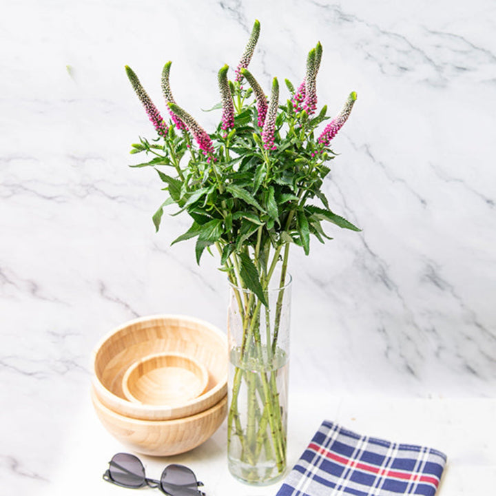 Pink Veronica flower stems from Fresh Flower Holland, featuring 10 vibrant blooms arranged in a natural display.