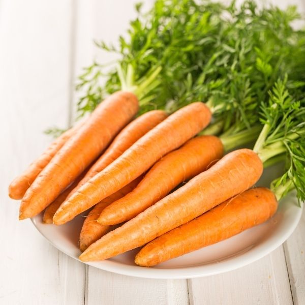 Fresh orange carrots from Sharbatly in a 10 kg carton, showcasing vibrant, crisp vegetables perfect for healthy cooking.