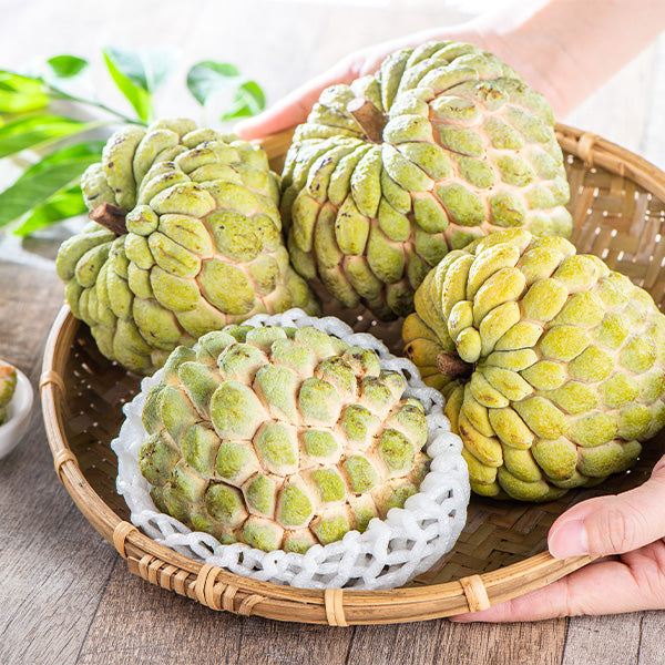 Fresh custard apples from Thailand in a 0.5 kg pack, showcasing their creamy, green exterior and textured skin.