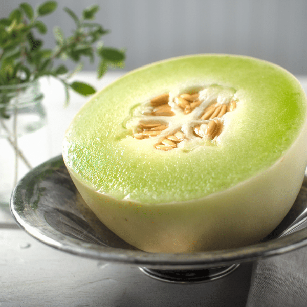 Fresh single piece of Sharbatly honey dew melon fruit showing green outer rind and juicy interior.