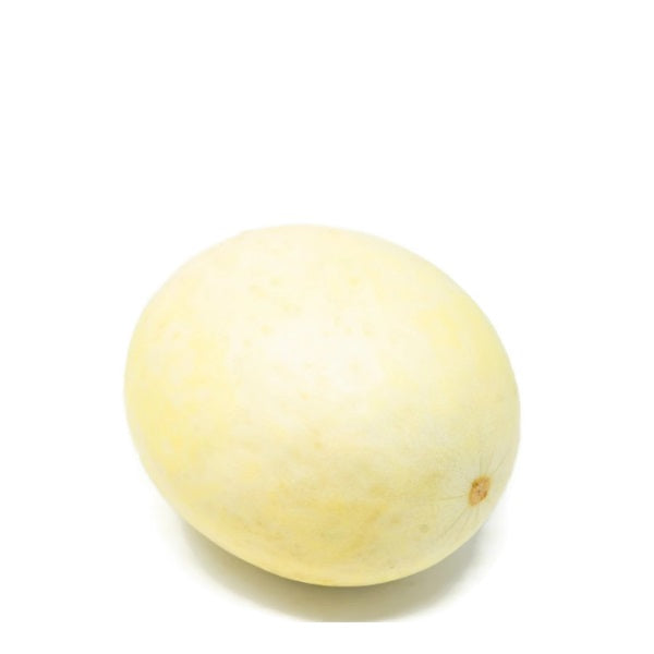 Fresh honey dew melon from Sharbatly, single piece of ripe green fruit with smooth skin and sweet aroma.