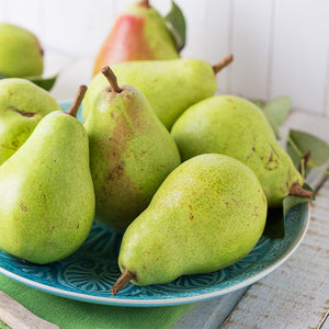 Pears, Coscia, 1 kg Pack