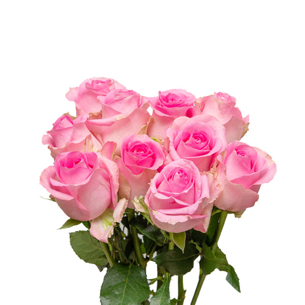 Roses, Pink, 10 Stems