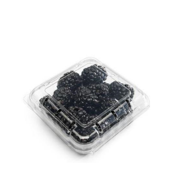 Blackberries, 0.17 kg Pack - Sharbatly.Club