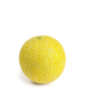 Melon Galia , single piece