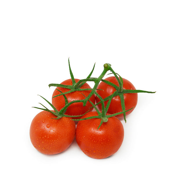 Fresh tomato red on the vine hydroponic vegetable from Dava Farm, 1 kg pack showing ripe tomatoes attached to green vines.