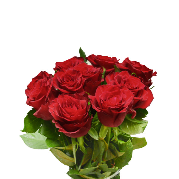 Roses, Red, 10 Stems