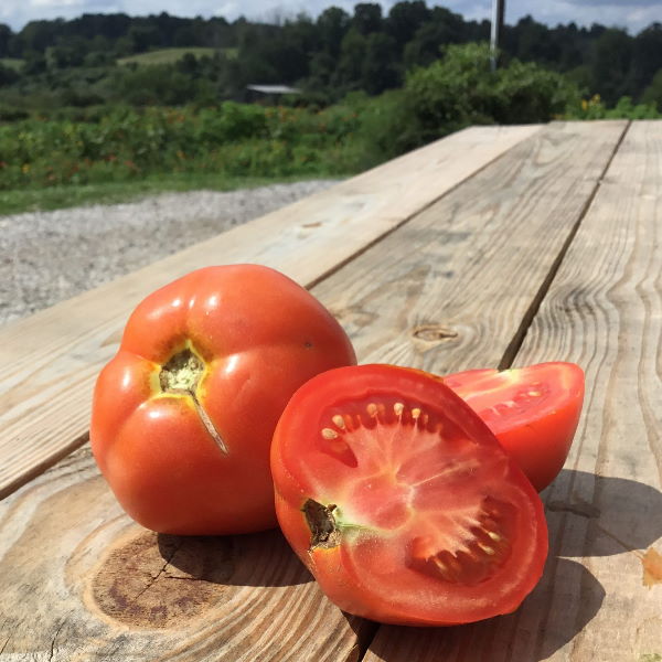 Fresh local tomatoes in a 4.5 kg carton from Local Market, showcasing ripe, red vegetables ready for cooking or salads.